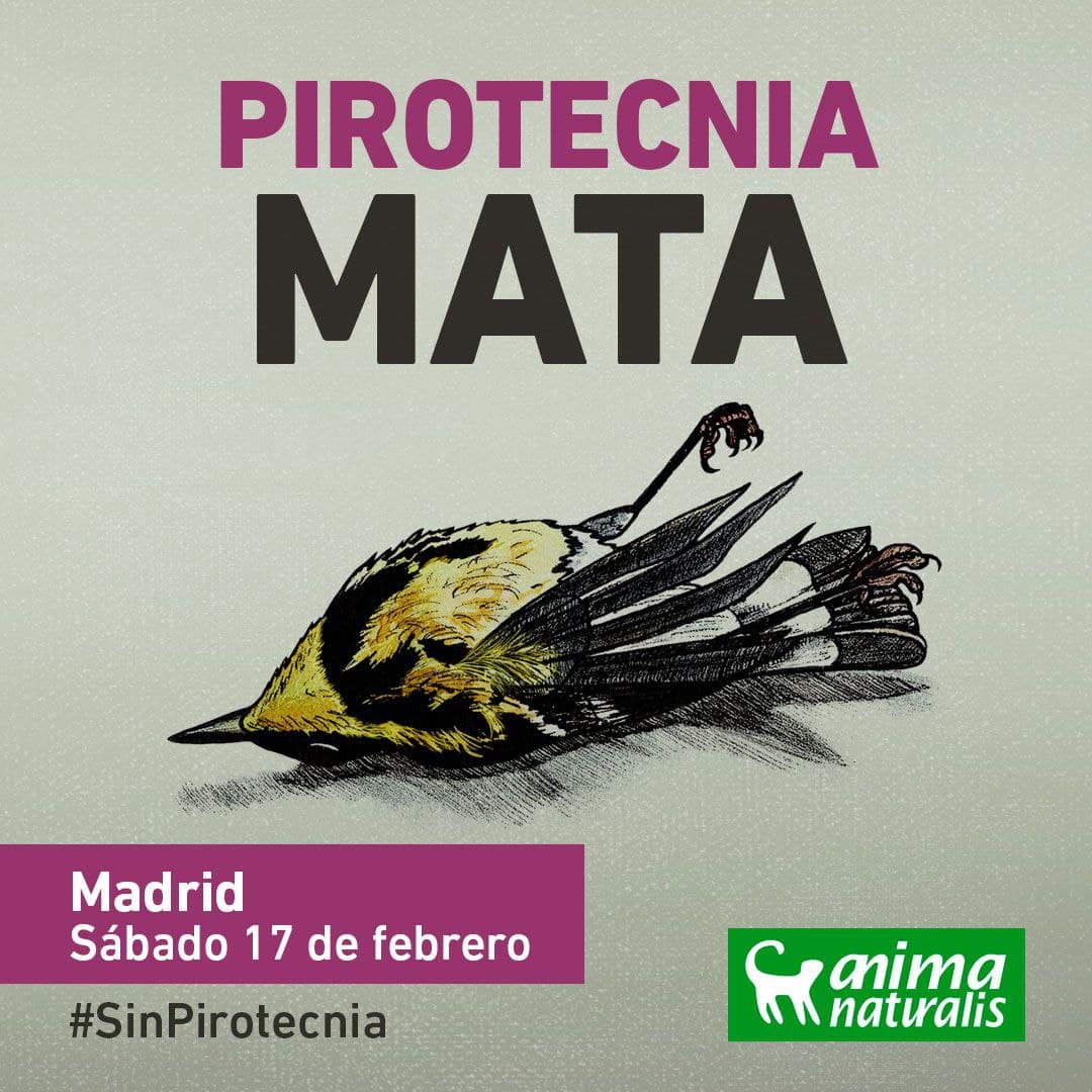 Únete a la protesta contra la pirotecnia en Madrid